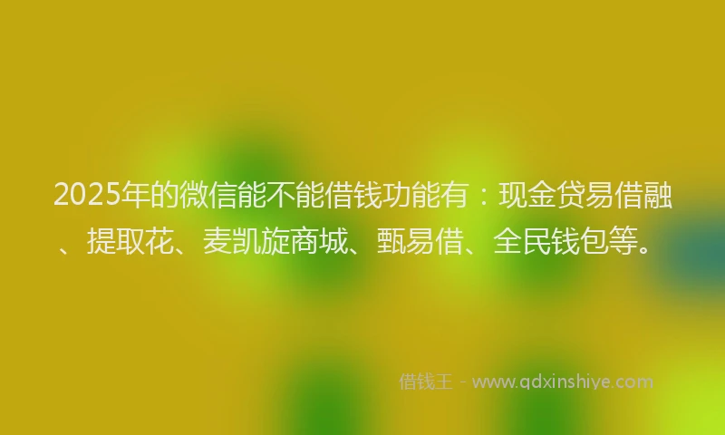 2025年的微信能不能借钱功能有:现金贷易借融、提取花、麦凯旋商城、甄易借、全民钱包等。