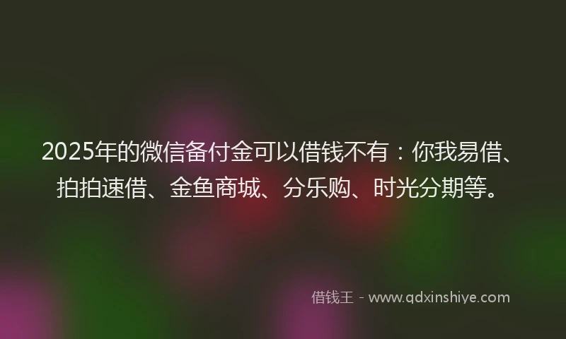 2025年的微信备付金可以借钱不有：你我易借、拍拍速借、金鱼商城、分乐购、时光分期等。