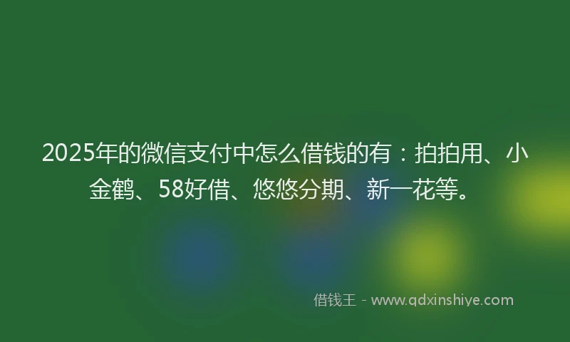 2025年的微信支付中怎么借钱的有：拍拍用、小金鹤、58好借、悠悠分期、新一花等。