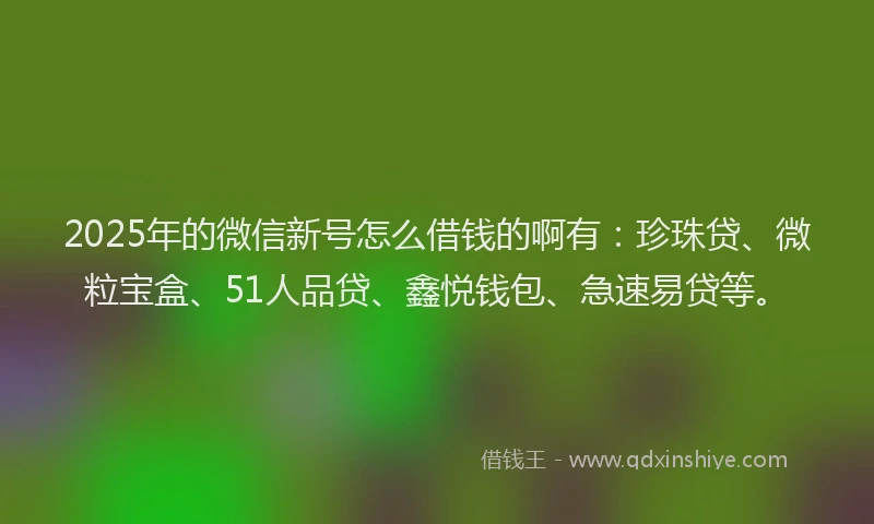 2025年的微信新号怎么借钱的啊有：珍珠贷、微粒宝盒、51人品贷、鑫悦钱包、急速易贷等。