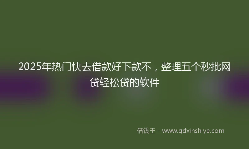 2025年热门快去借款好下款不，整理五个秒批网贷轻松贷的软件