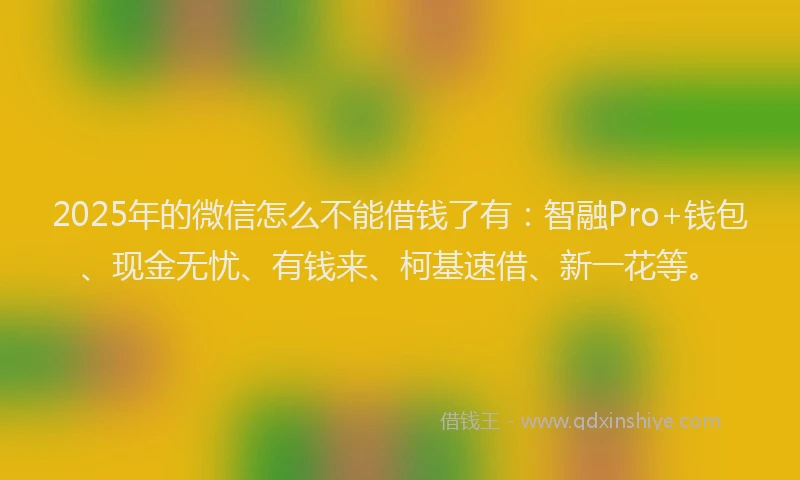 2025年的微信怎么不能借钱了有：智融Pro+钱包、现金无忧、有钱来、柯基速借、新一花等。