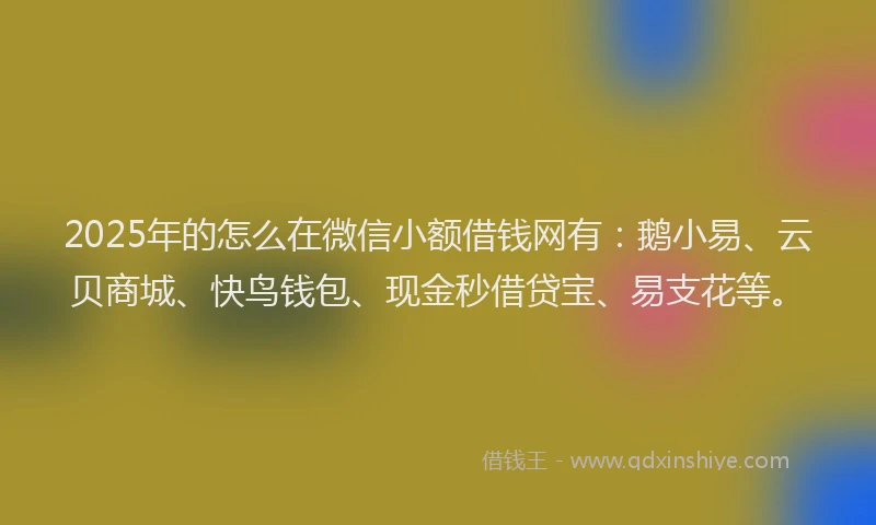 2025年的怎么在微信小额借钱网有：鹅小易、云贝商城、快鸟钱包、现金秒借贷宝、易支花等。