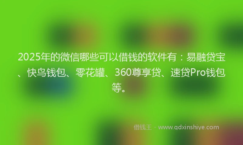 2025年的微信哪些可以借钱的软件有：易融贷宝、快鸟钱包、零花罐、360尊享贷、速贷Pro钱包等。