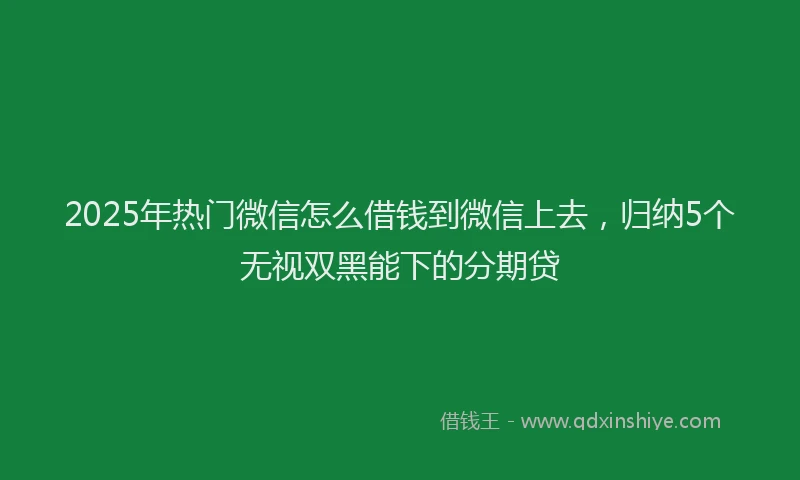 2025年热门微信怎么借钱到微信上去，归纳5个无视双黑能下的分期贷
