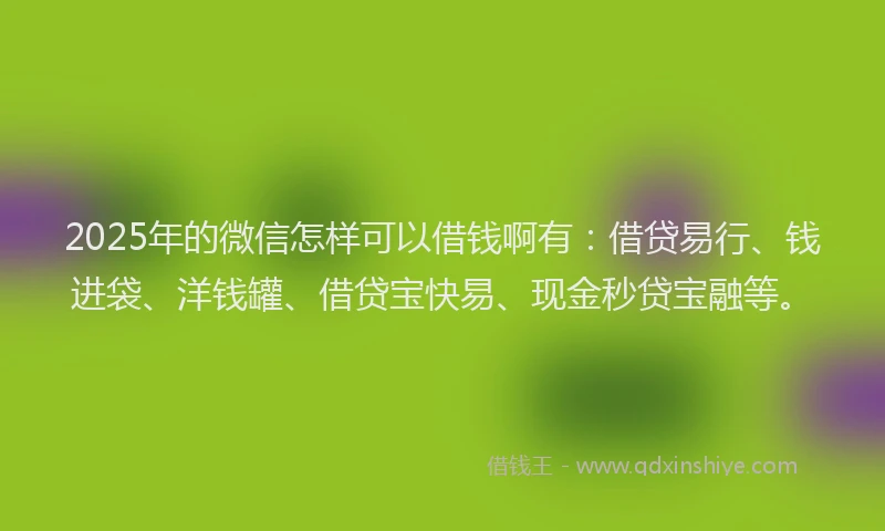 2025年的微信怎样可以借钱啊有：借贷易行、钱进袋、洋钱罐、借贷宝快易、现金秒贷宝融等。