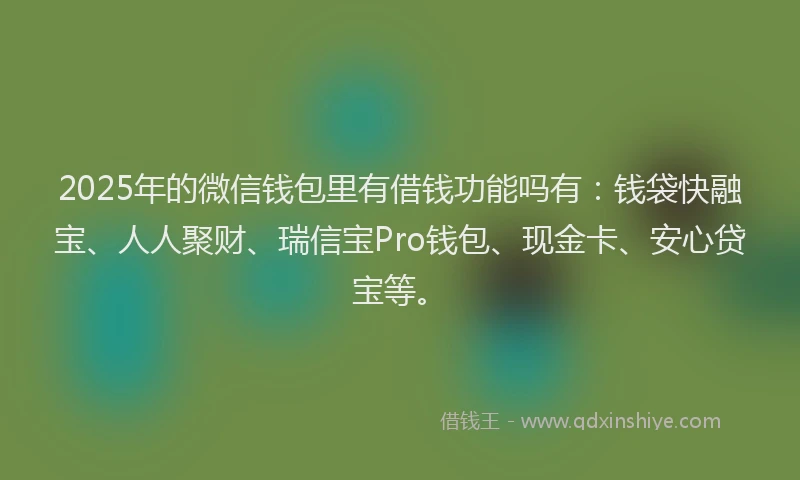 2025年的微信钱包里有借钱功能吗有：钱袋快融宝、人人聚财、瑞信宝Pro钱包、现金卡、安心贷宝等。