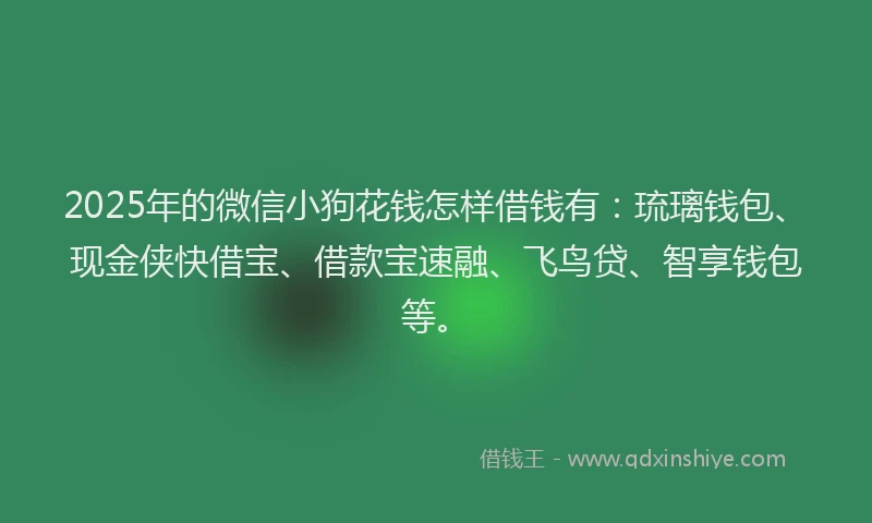 2025年的微信小狗花钱怎样借钱有：琉璃钱包、现金侠快借宝、借款宝速融、飞鸟贷、智享钱包等。