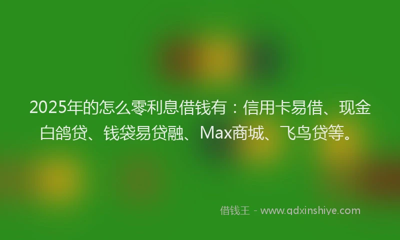 2025年的怎么零利息借钱有：信用卡易借、现金白鸽贷、钱袋易贷融、Max商城、飞鸟贷等。