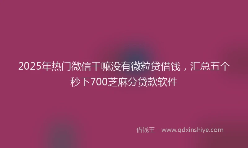 2025年热门微信干嘛没有微粒贷借钱，汇总五个秒下700芝麻分贷款软件
