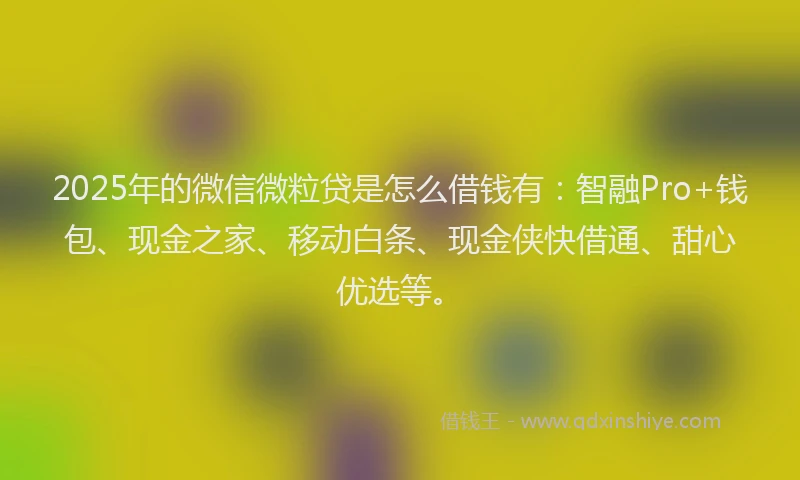 2025年的微信微粒贷是怎么借钱有：智融Pro+钱包、现金之家、移动白条、现金侠快借通、甜心优选等。
