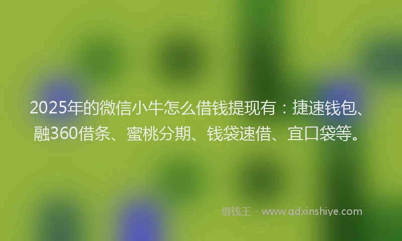 2025年的微信小牛怎么借钱提现有：捷速钱包、融360借条、蜜桃分期、钱袋速借、宜口袋等。
