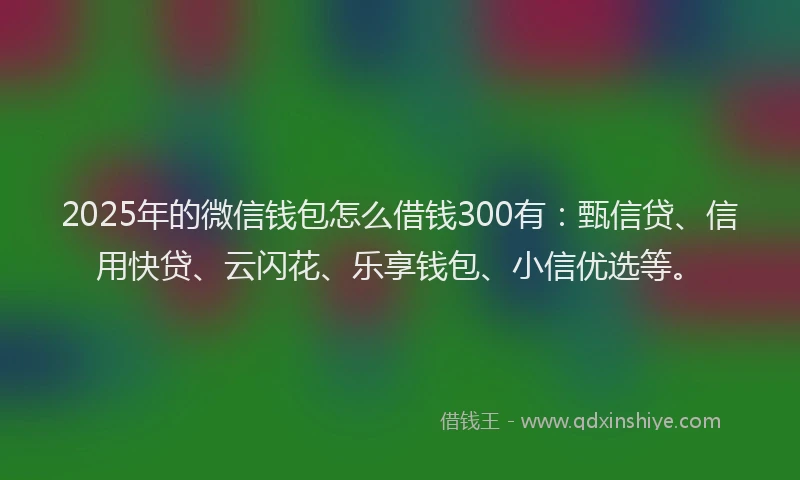 2025年的微信钱包怎么借钱300有：甄信贷、信用快贷、云闪花、乐享钱包、小信优选等。