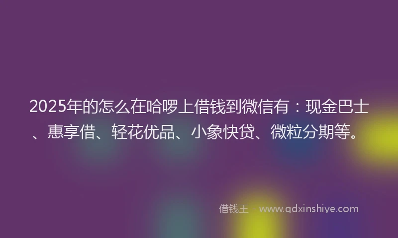 2025年的怎么在哈啰上借钱到微信有：现金巴士、惠享借、轻花优品、小象快贷、微粒分期等。
