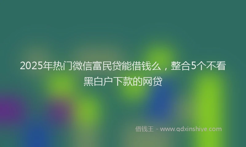 2025年热门微信富民贷能借钱么，整合5个不看黑白户下款的网贷