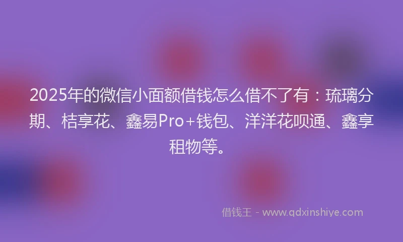 2025年的微信小面额借钱怎么借不了有：琉璃分期、桔享花、鑫易Pro+钱包、洋洋花呗通、鑫享租物等。