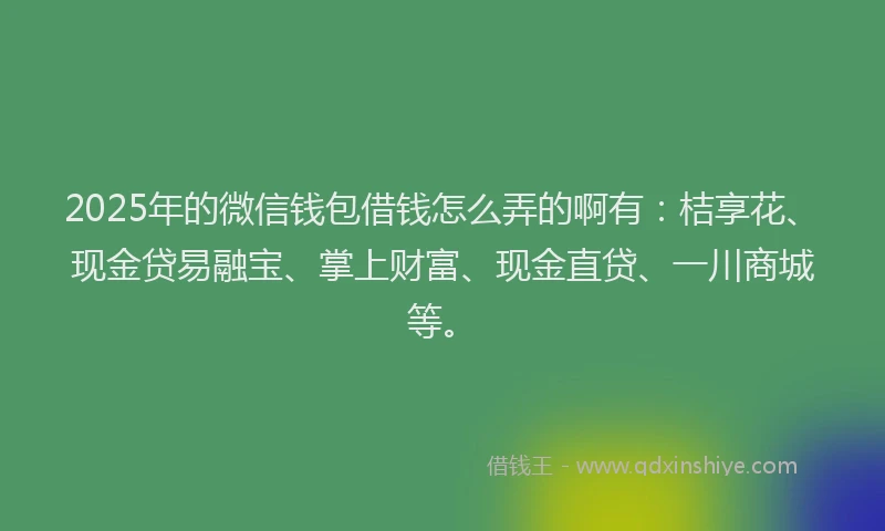 2025年的微信钱包借钱怎么弄的啊有：桔享花、现金贷易融宝、掌上财富、现金直贷、一川商城等。