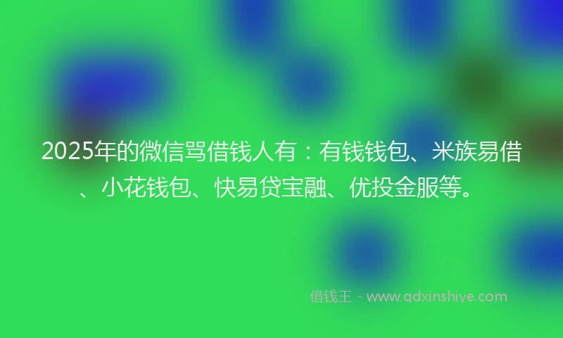 2025年的微信骂借钱人有：有钱钱包、米族易借、小花钱包、快易贷宝融、优投金服等。