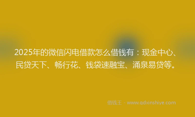 2025年的微信闪电借款怎么借钱有：现金中心、民贷天下、畅行花、钱袋速融宝、涌泉易贷等。