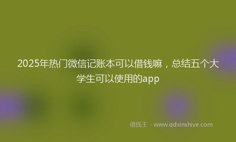 2025年热门微信记账本可以借钱嘛，总结五个大学生可以使用的app