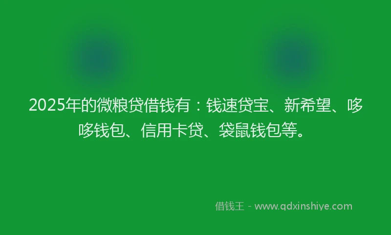 2025年的微粮贷借钱有：钱速贷宝、新希望、哆哆钱包、信用卡贷、袋鼠钱包等。