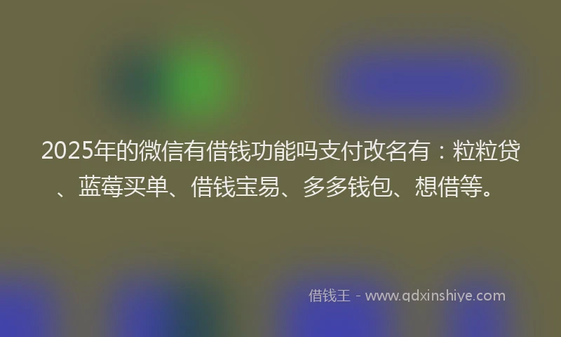2025年的微信有借钱功能吗支付改名有：粒粒贷、蓝莓买单、借钱宝易、多多钱包、想借等。