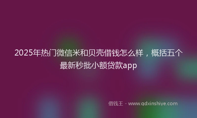 2025年热门微信米和贝壳借钱怎么样，概括五个最新秒批小额贷款app