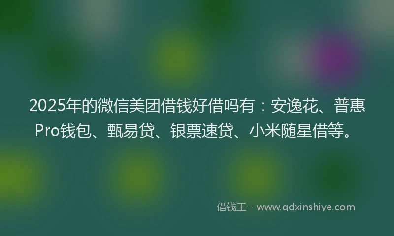 2025年的微信美团借钱好借吗有：安逸花、普惠Pro钱包、甄易贷、银票速贷、小米随星借等。