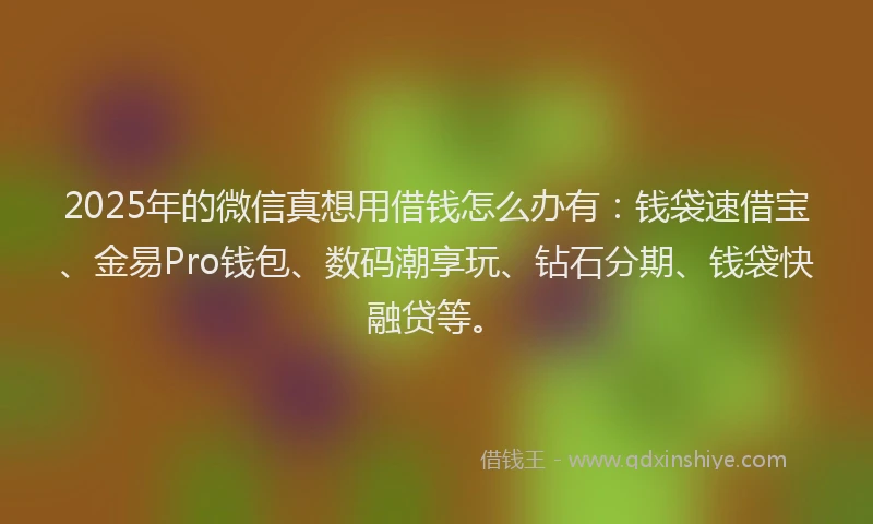 2025年的微信真想用借钱怎么办有：钱袋速借宝、金易Pro钱包、数码潮享玩、钻石分期、钱袋快融贷等。