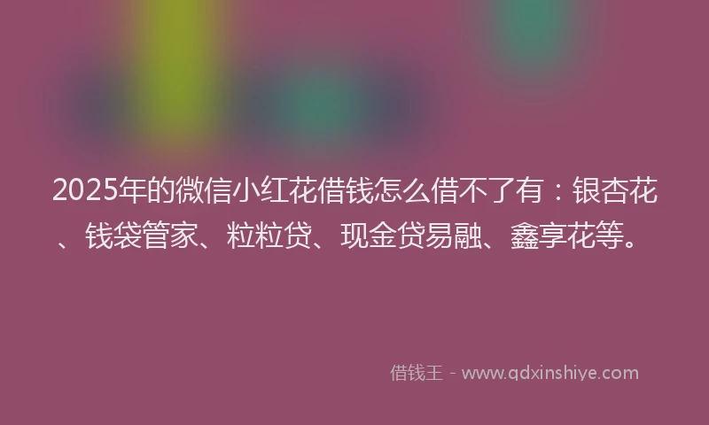 2025年的微信小红花借钱怎么借不了有：银杏花、钱袋管家、粒粒贷、现金贷易融、鑫享花等。