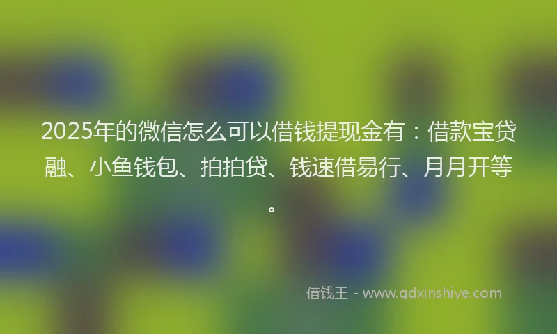 2025年的微信怎么可以借钱提现金有：借款宝贷融、小鱼钱包、拍拍贷、钱速借易行、月月开等。