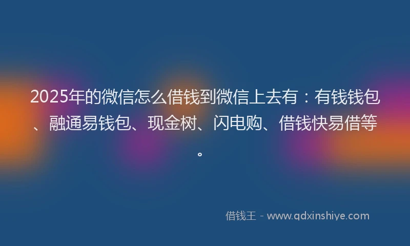 2025年的微信怎么借钱到微信上去有：有钱钱包、融通易钱包、现金树、闪电购、借钱快易借等。