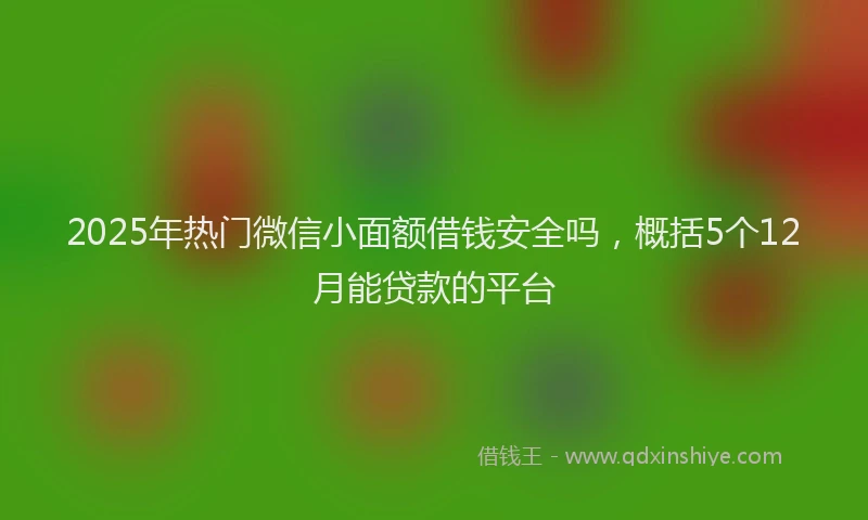 2025年热门微信小面额借钱安全吗，概括5个12月能贷款的平台