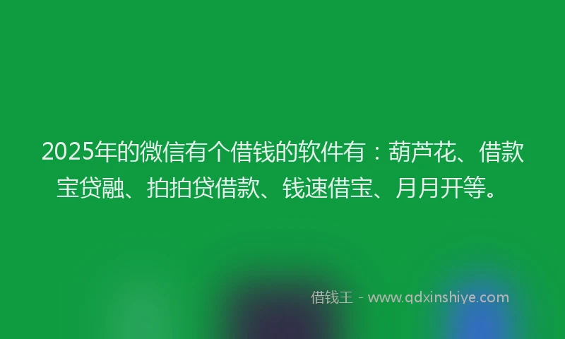 2025年的微信有个借钱的软件有：葫芦花、借款宝贷融、拍拍贷借款、钱速借宝、月月开等。