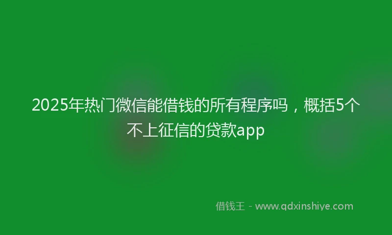 2025年热门微信能借钱的所有程序吗，概括5个不上征信的贷款app