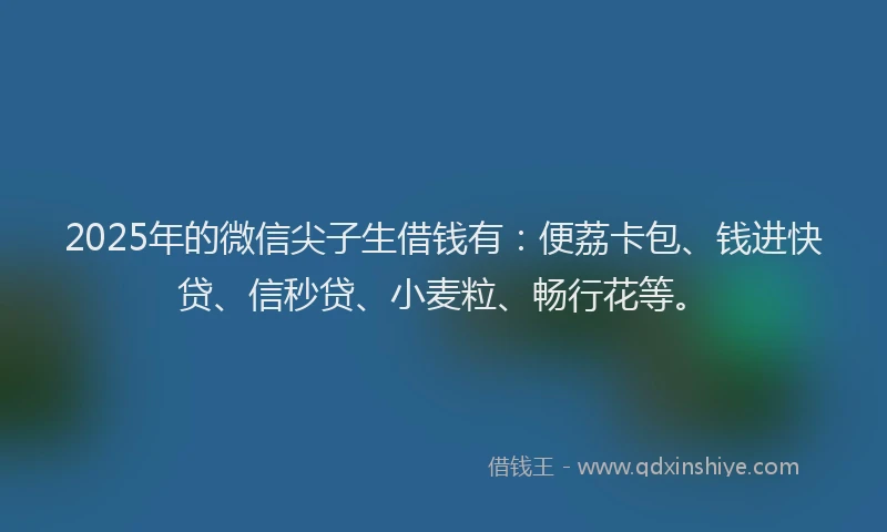 2025年的微信尖子生借钱有：便荔卡包、钱进快贷、信秒贷、小麦粒、畅行花等。
