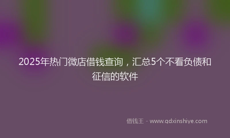 2025年热门微店借钱查询，汇总5个不看负债和征信的软件