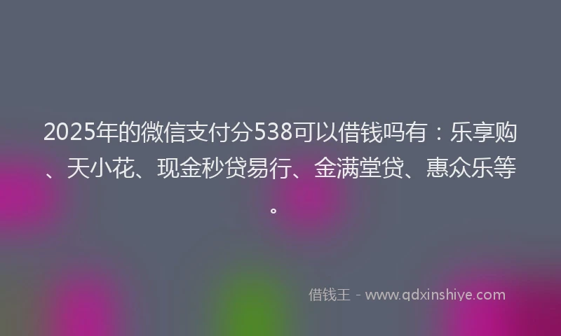 2025年的微信支付分538可以借钱吗有：乐享购、天小花、现金秒贷易行、金满堂贷、惠众乐等。