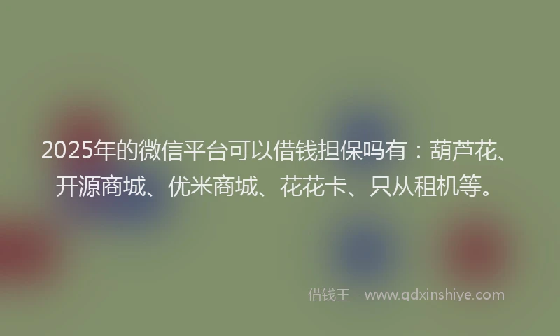 2025年的微信平台可以借钱担保吗有：葫芦花、开源商城、优米商城、花花卡、只从租机等。
