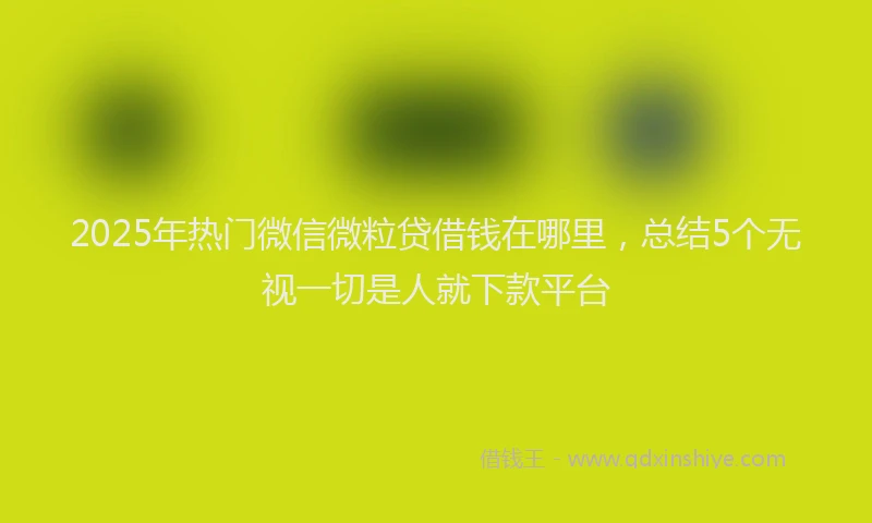 2025年热门微信微粒贷借钱在哪里，总结5个无视一切是人就下款平台