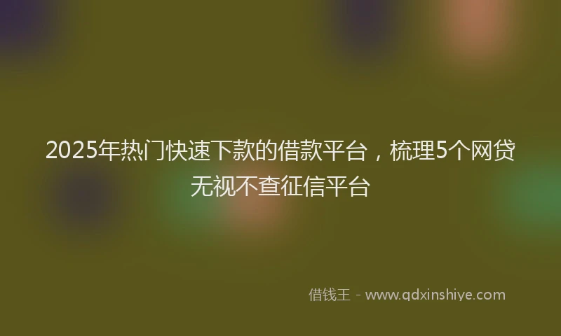 2025年热门快速下款的借款平台，梳理5个网贷无视不查征信平台