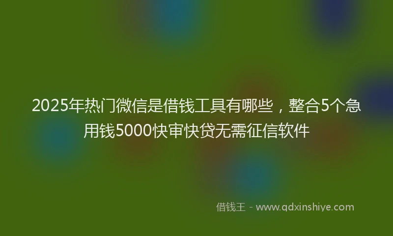 2025年热门微信是借钱工具有哪些，整合5个急用钱5000快审快贷无需征信软件