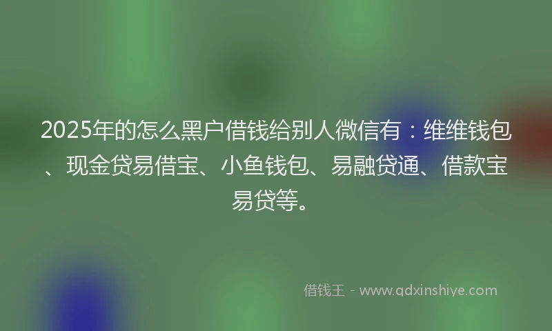 2025年的怎么黑户借钱给别人微信有：维维钱包、现金贷易借宝、小鱼钱包、易融贷通、借款宝易贷等。