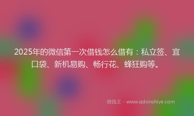 2025年的微信第一次借钱怎么借有：私立签、宜口袋、新机易购、畅行花、蜂狂购等。