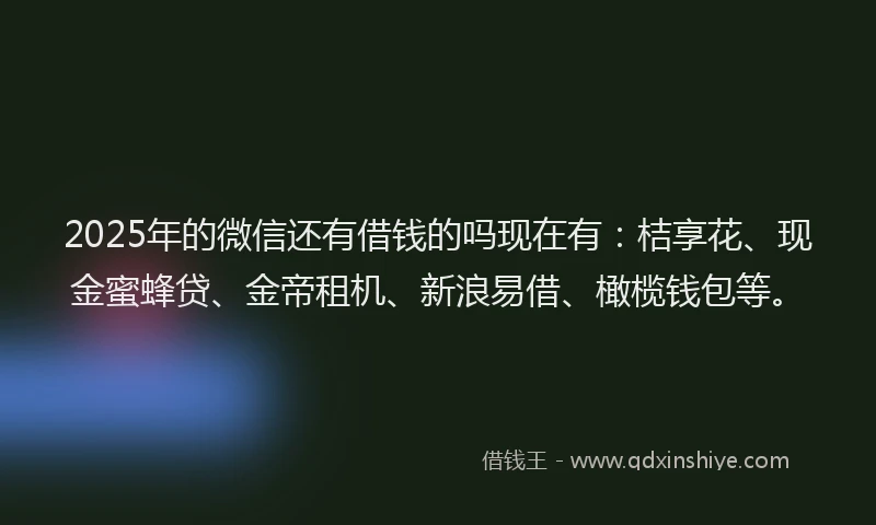 2025年的微信还有借钱的吗现在有：桔享花、现金蜜蜂贷、金帝租机、新浪易借、橄榄钱包等。