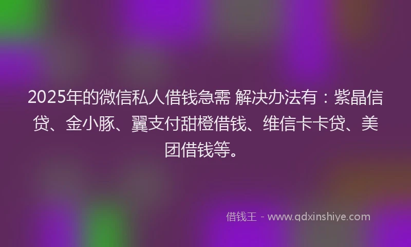 2025年的微信私人借钱急需 解决办法有：紫晶信贷、金小豚、翼支付甜橙借钱、维信卡卡贷、美团借钱等。