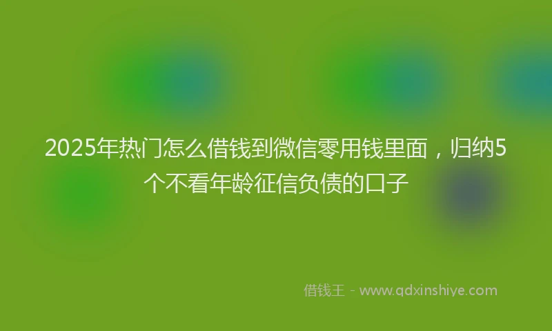 2025年热门怎么借钱到微信零用钱里面，归纳5个不看年龄征信负债的口子