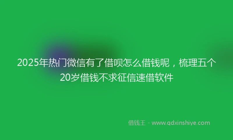 2025年热门微信有了借呗怎么借钱呢，梳理五个20岁借钱不求征信速借软件