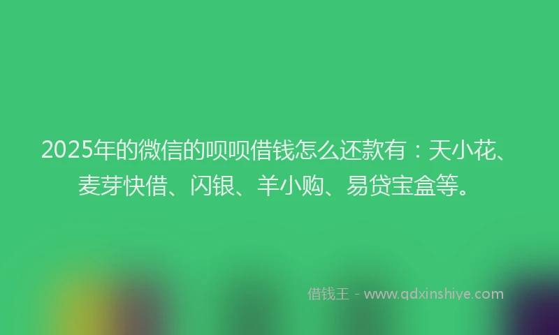 2025年的微信的呗呗借钱怎么还款有：天小花、麦芽快借、闪银、羊小购、易贷宝盒等。