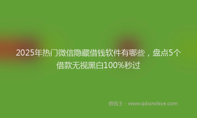 2025年热门微信隐藏借钱软件有哪些，盘点5个借款无视黑白100%秒过